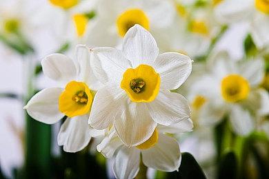 《深岩银河》PS4＆PS5版上市预告片分享